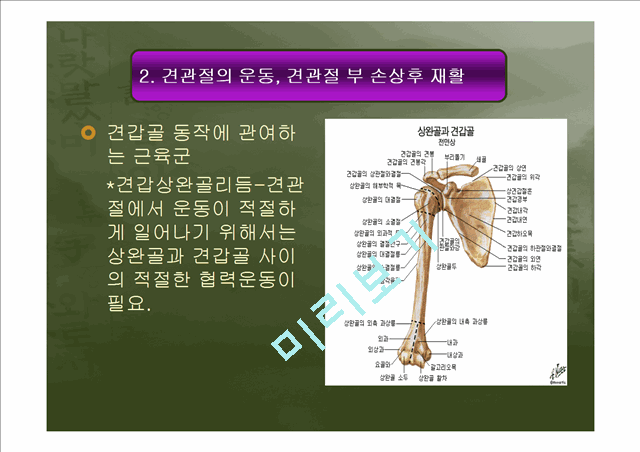 [의학,약학][운동치료학] 견관절 손상의 재활.ppt